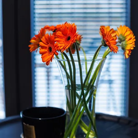 Malila Premium Cracow Limanowskiego 37 公寓