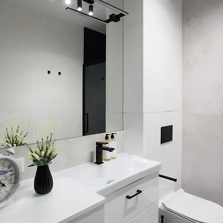 公寓 Malila Premium Cracow Limanowskiego 37 克拉科夫